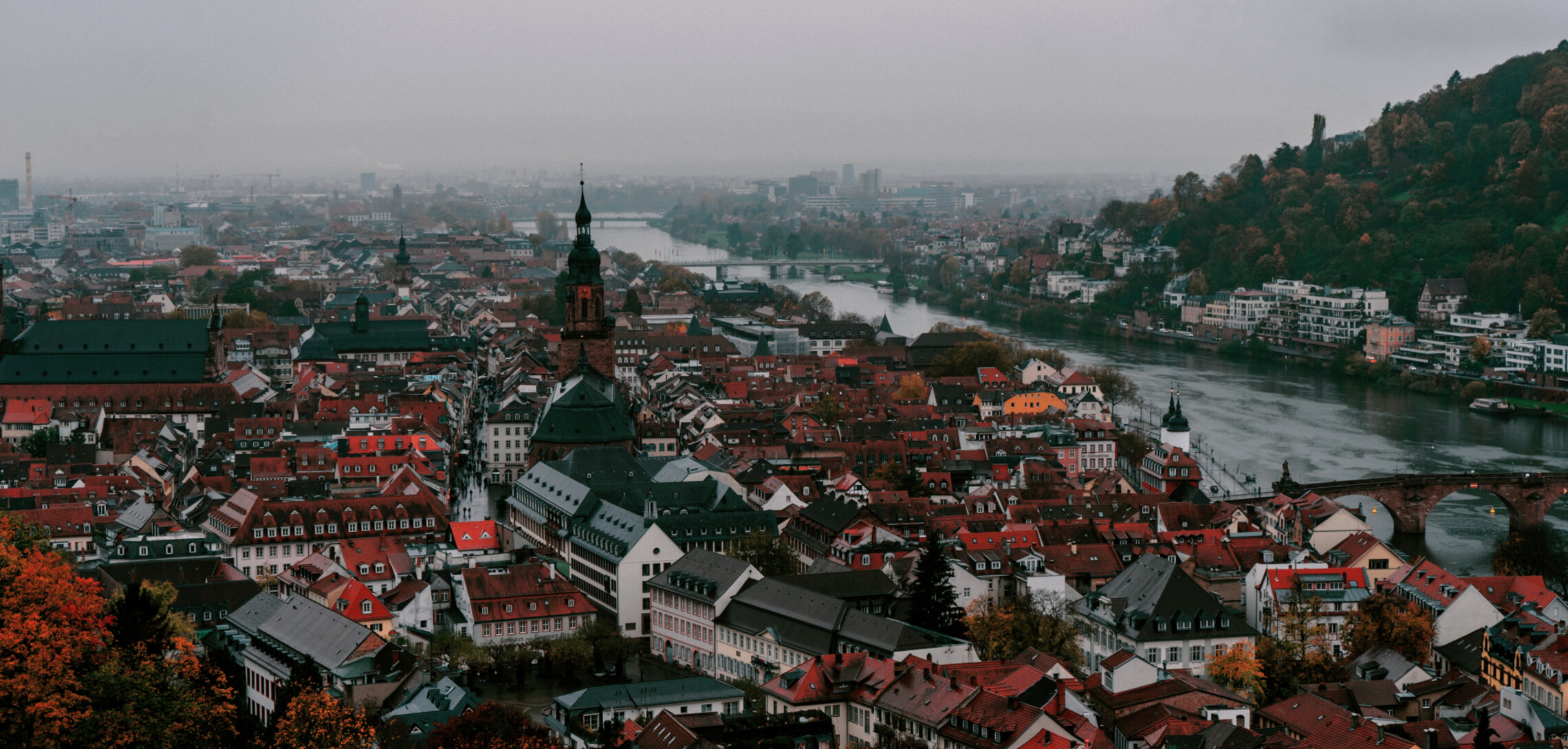 Germany New case law on the determination of arm’s length interest