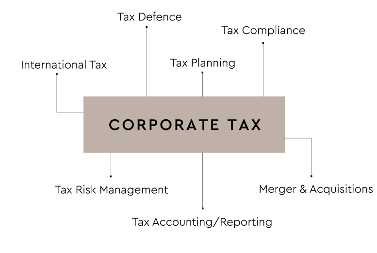 grafik-corporate-tax-bereiche