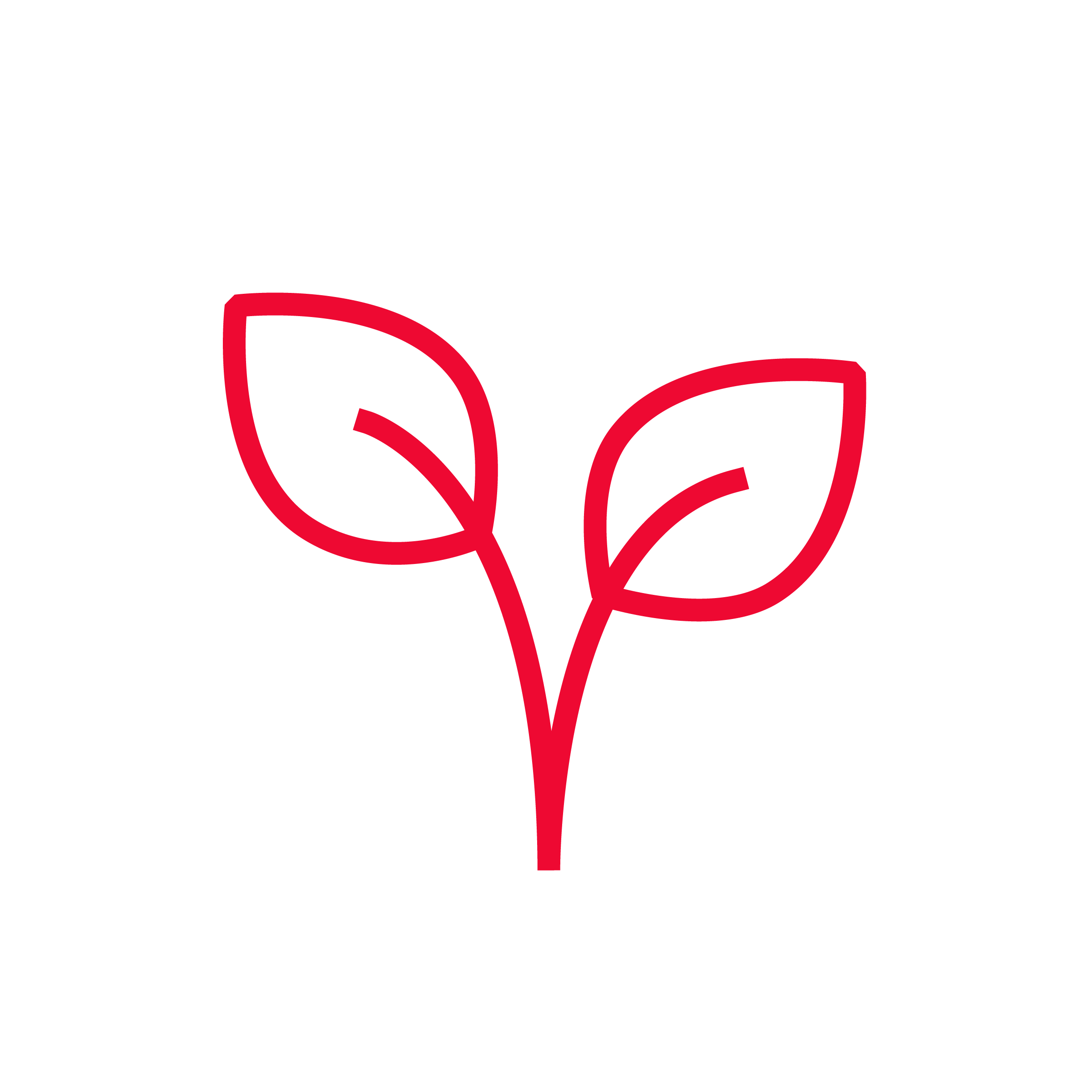 Icon Pflanze