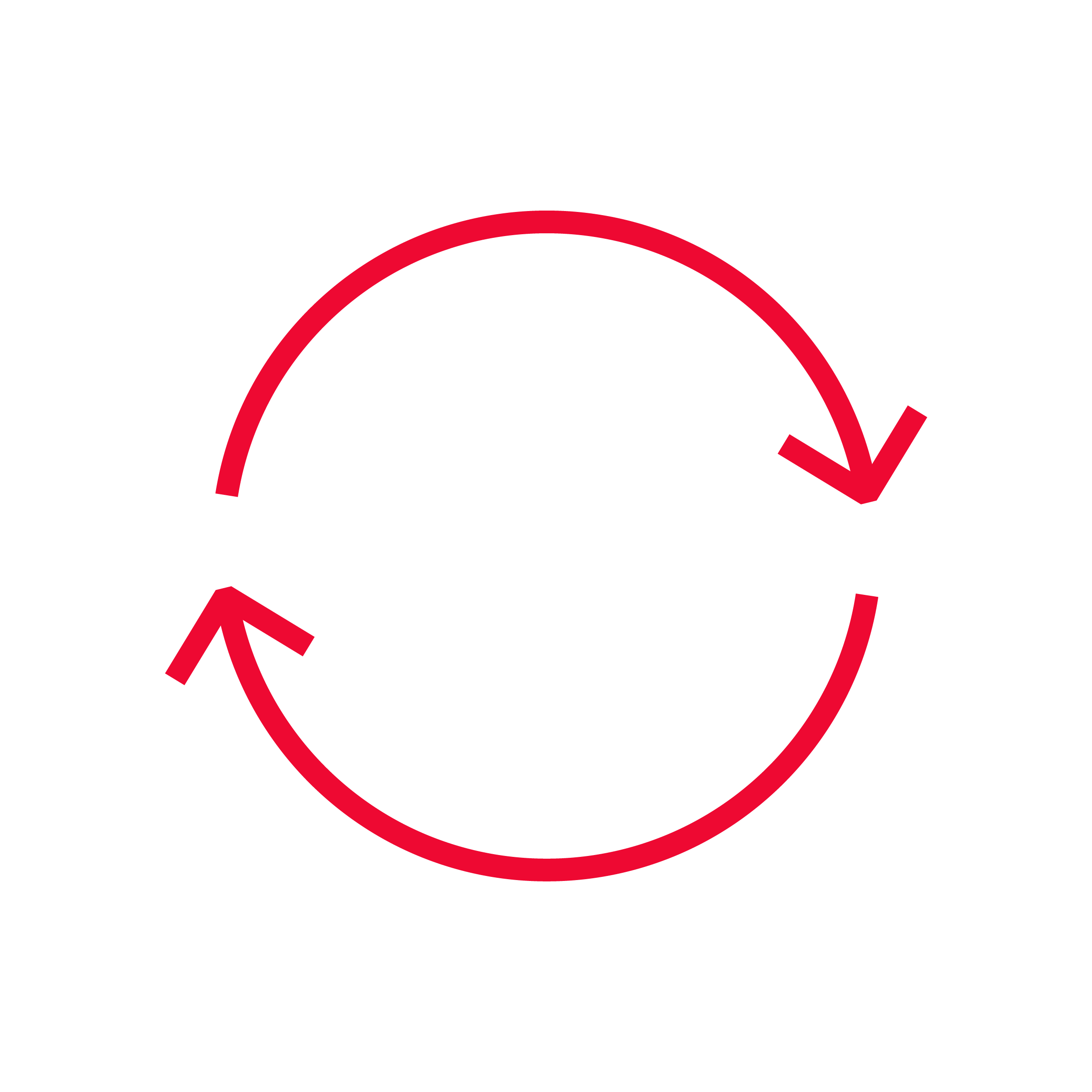 Icon Kreislauf