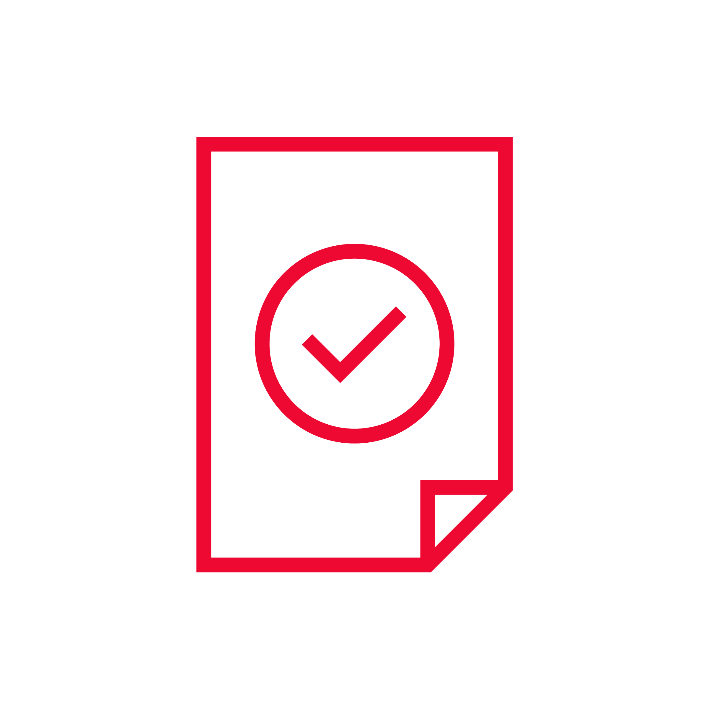 Icon Papier mit Check-Symbol