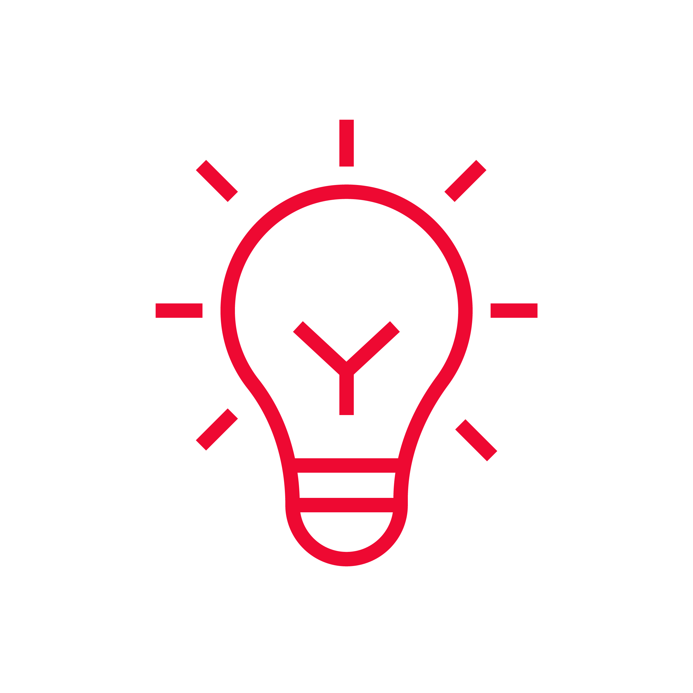 Icon Glühbirne