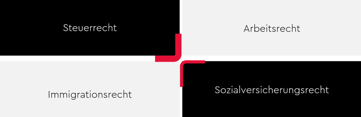 Grafik zum interdisziplinären Ansatz in der Rechts- und Steuerberatung